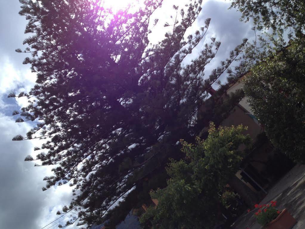 Hotel Casa Lupi มาร์ชานา มารีนา ภายนอก รูปภาพ